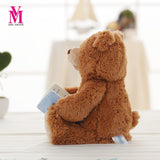 Teddy Bear Reading Story Book