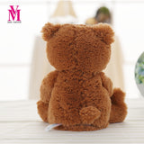 Teddy Bear Reading Story Book