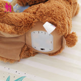 Teddy Bear Reading Story Book